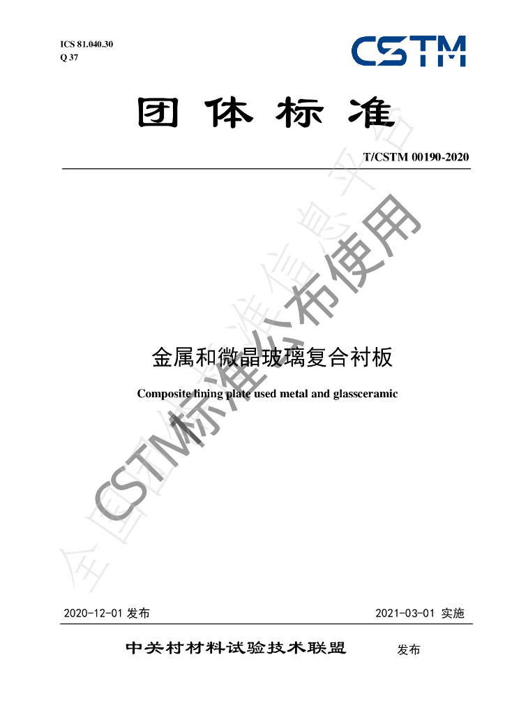 T/CSTM 00190-2020 标准预览