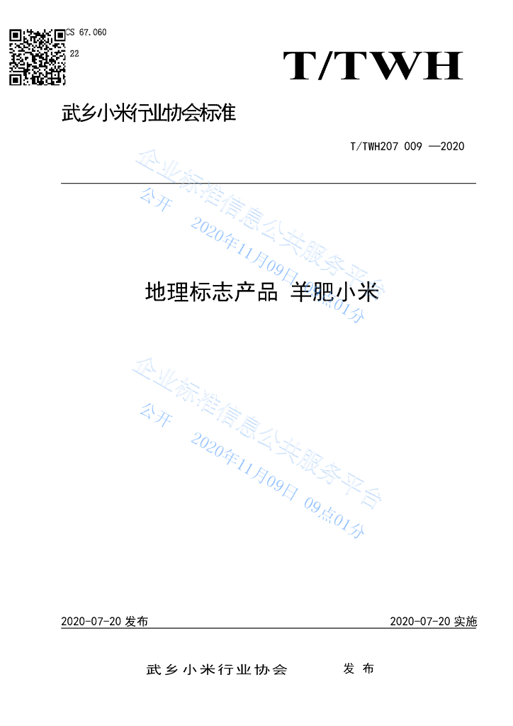 T/THWT 207 009-2020 标准预览