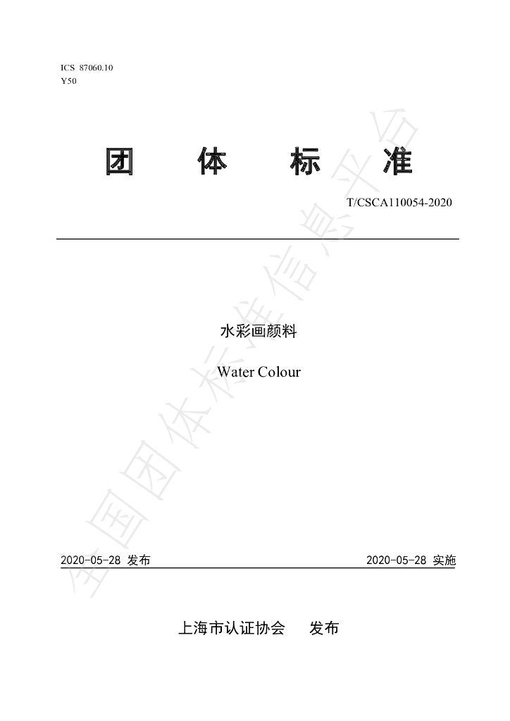T/CSCA 110054-2020 标准预览