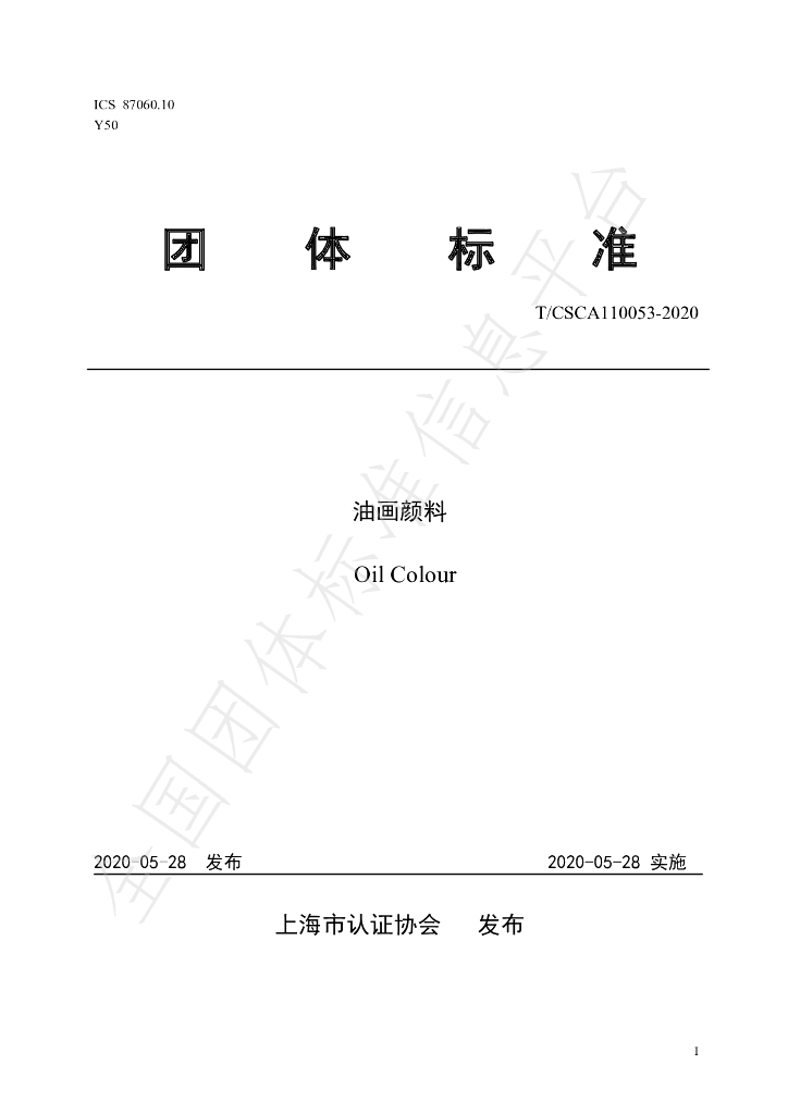 T/CSCA 110053-2020 标准预览