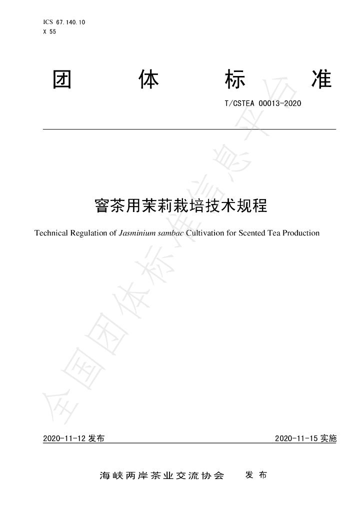 T/CSTEA 00013-2020 标准预览