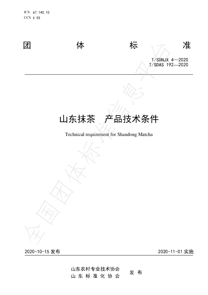 T/SDAS 192-2020 标准预览