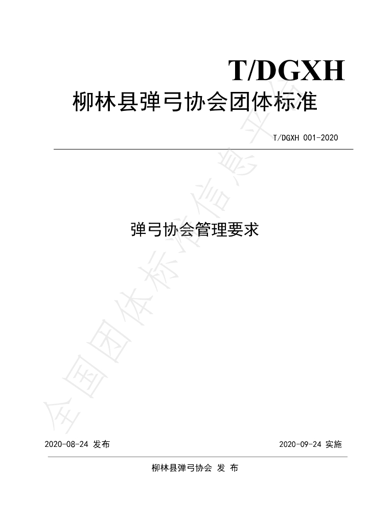 T/LDGXH 001-2020 标准预览