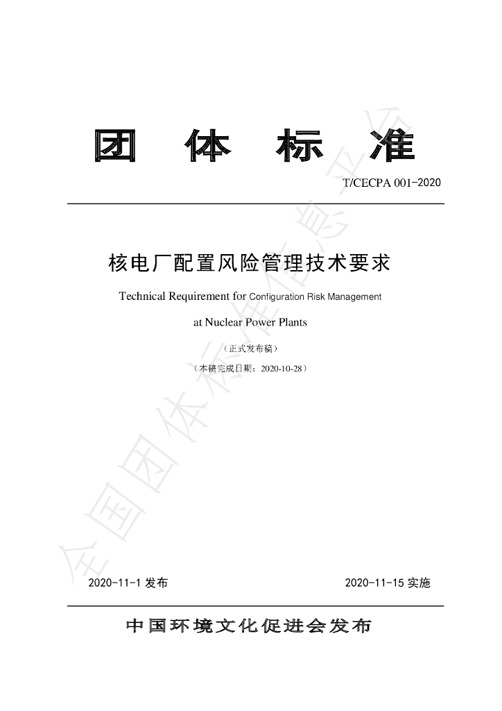T/CECPA 001-2020 标准预览