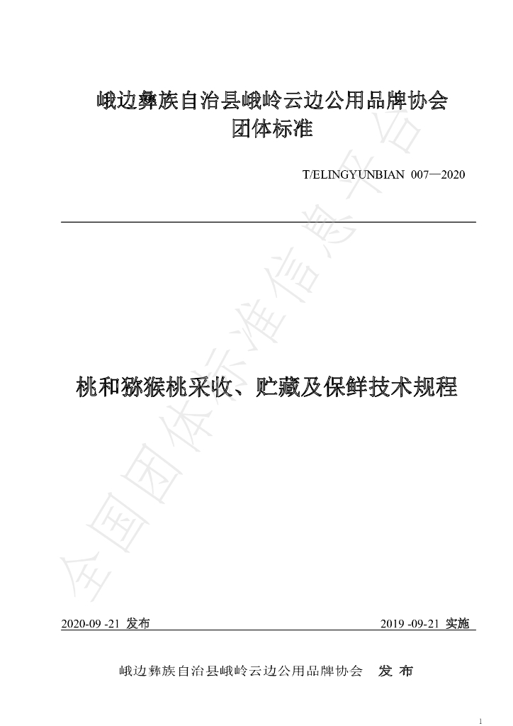 T/ELINGYUNBIAN 007-2020 标准预览