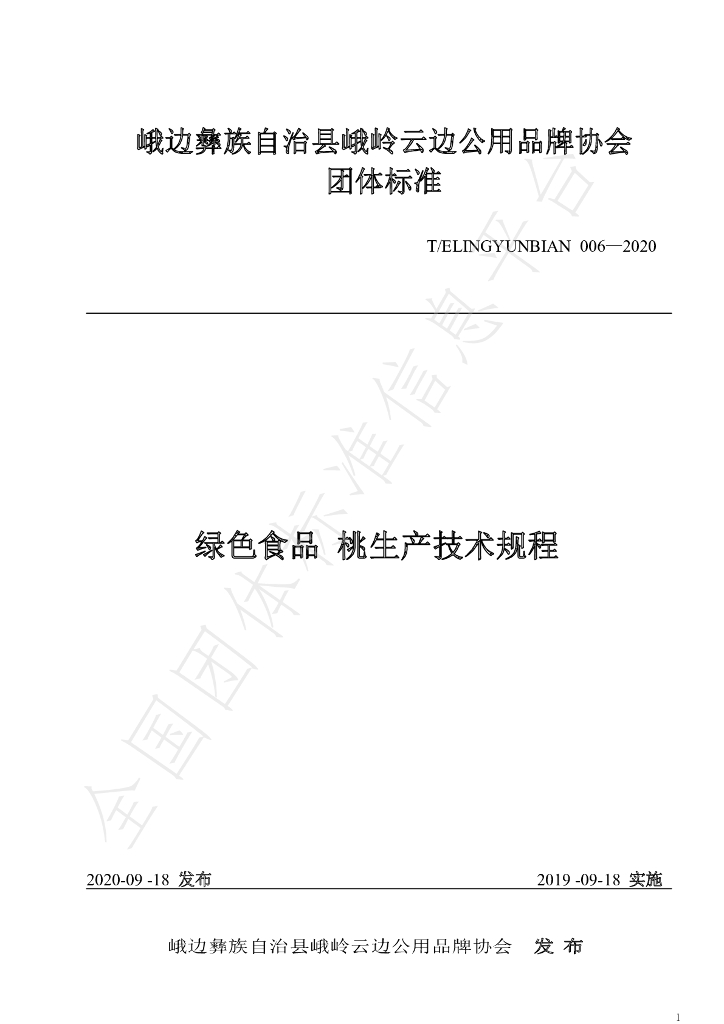 T/ELINGYUNBIAN 006-2020 标准预览