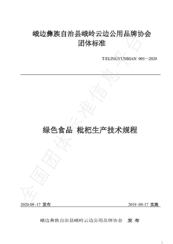 T/ELINGYUNBIAN 005-2020 标准预览