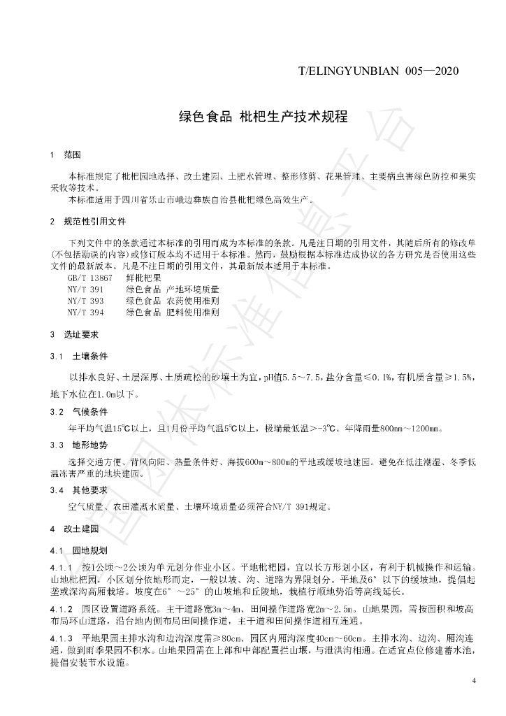 T/ELINGYUNBIAN 005-2020 标准预览