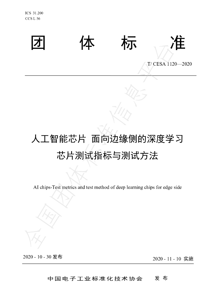 T/CESA 1120-2020 标准预览