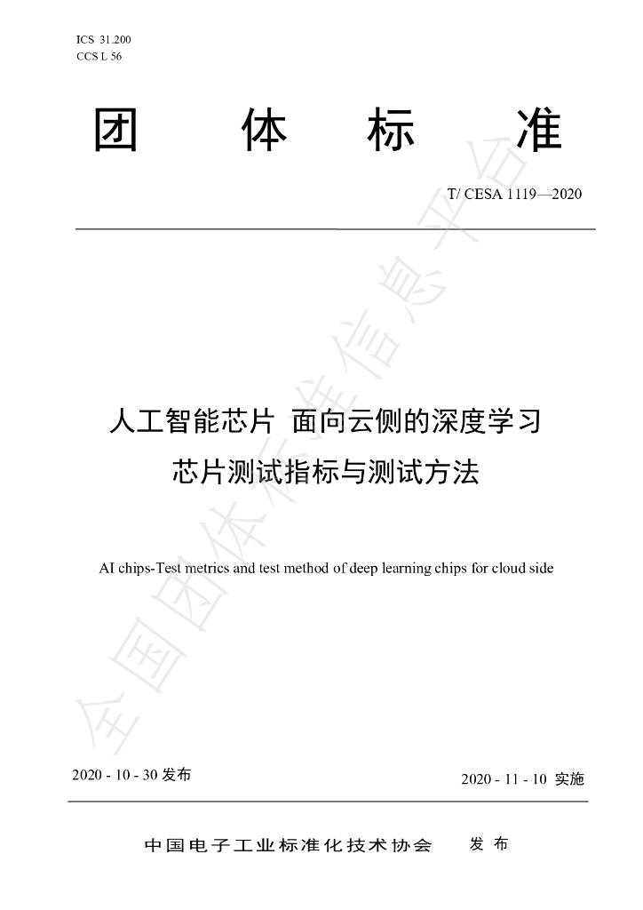 T/CESA 1119-2020 标准预览