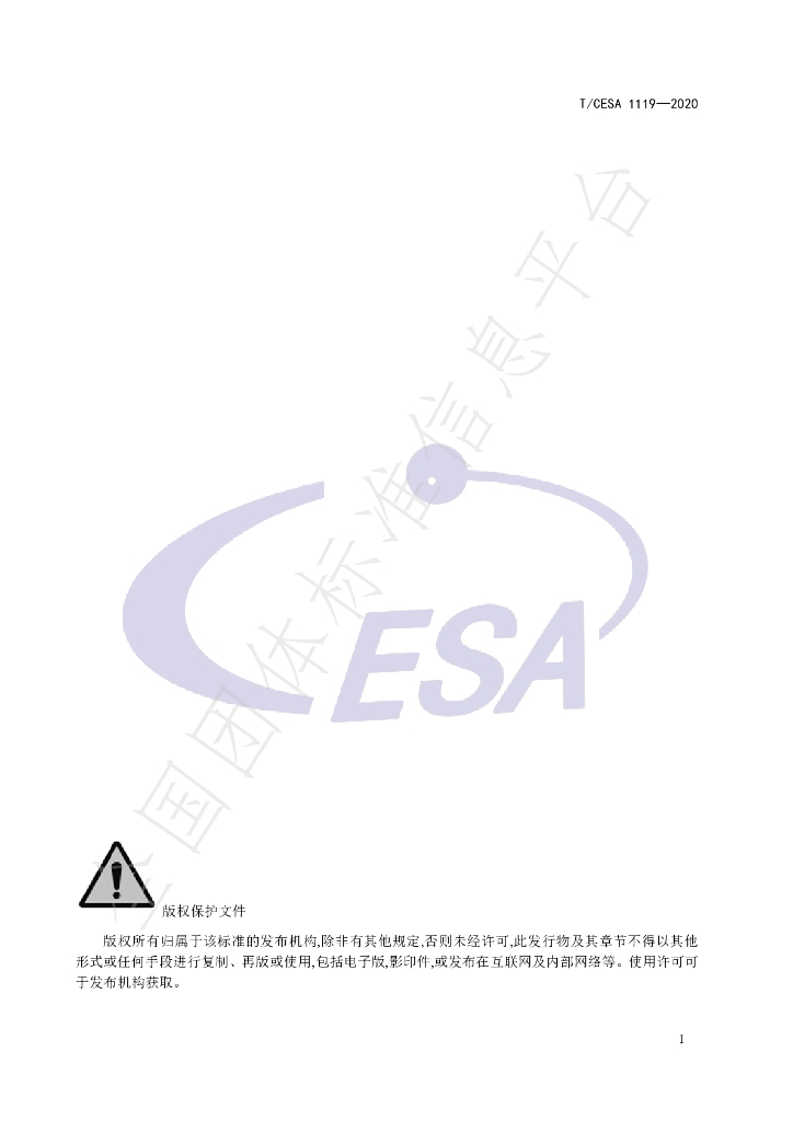 T/CESA 1119-2020 标准预览