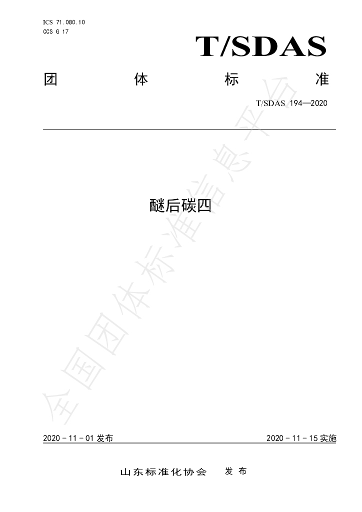 T/SDAS 194-2020 标准预览