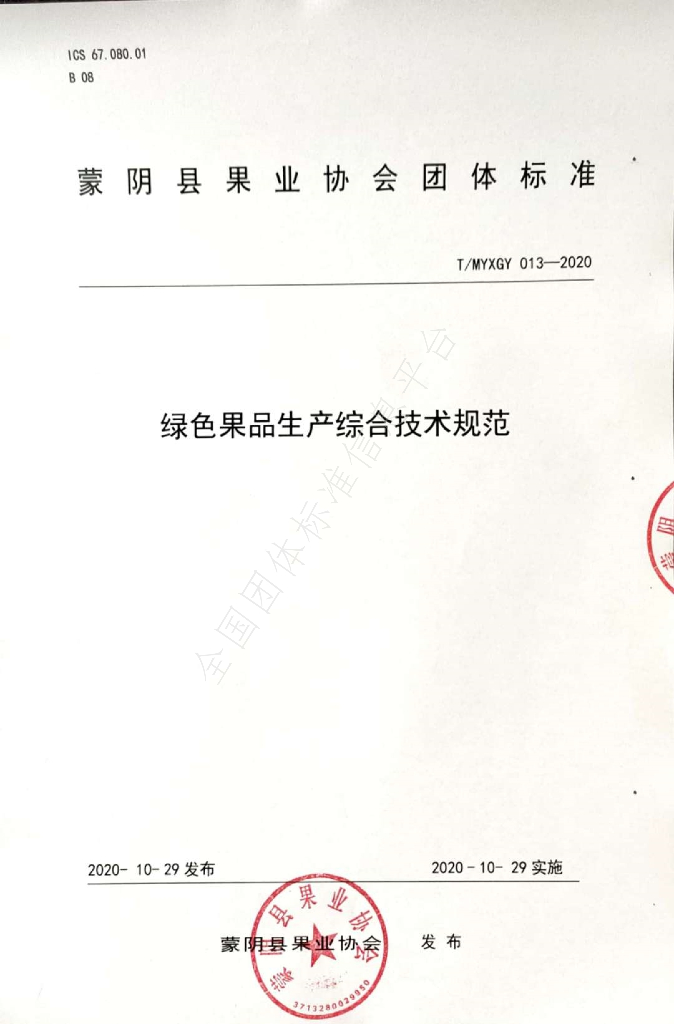 T/MYXGY 013-2020 标准预览