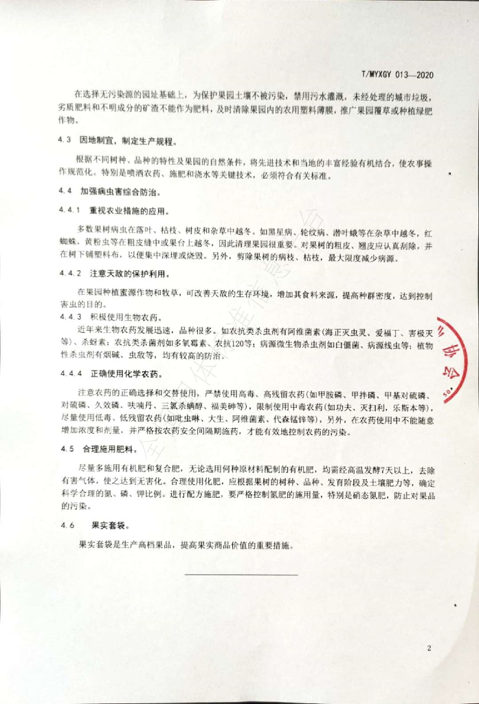 T/MYXGY 013-2020 标准预览