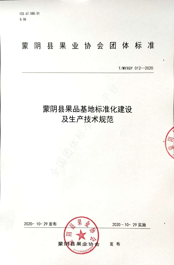 T/MYXGY 012-2020 标准预览