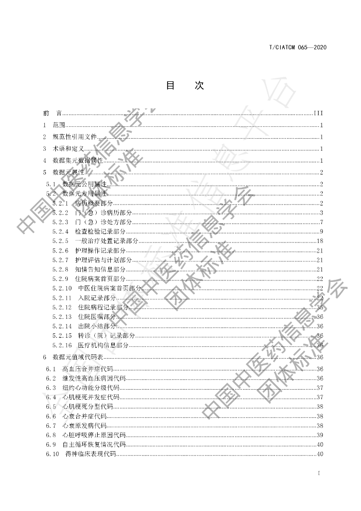 T/CIATCM 065-2020 标准预览
