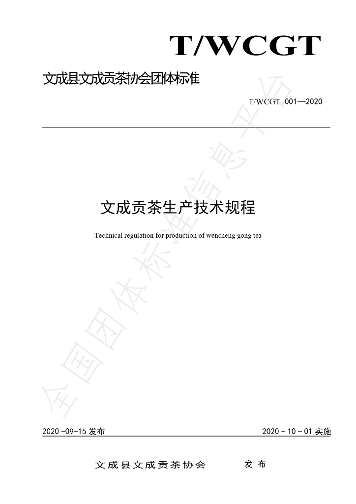 T/WCGT 001-2020 标准预览