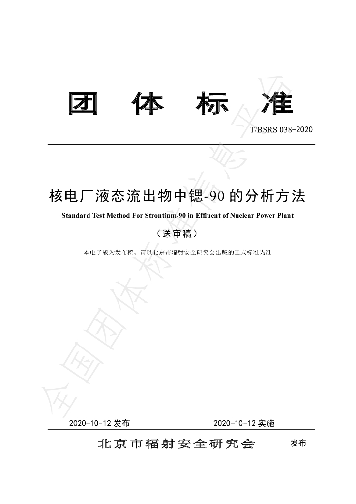 T/BSRS 038-2020 标准预览