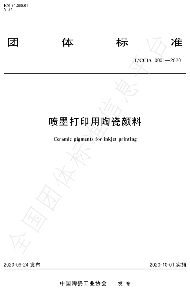 T/CCIA 0001-2020 标准预览