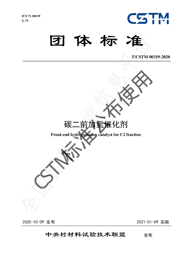 T/CSTM 00319-2020 标准预览