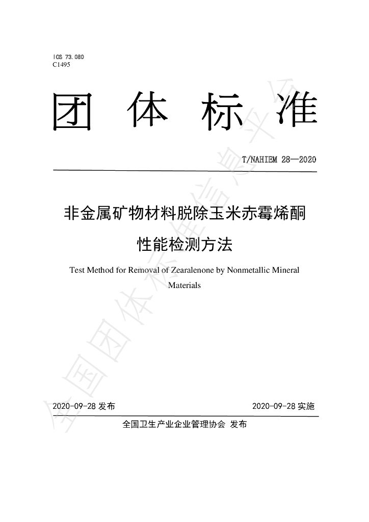 T/NAHIEM 28-2020 标准预览