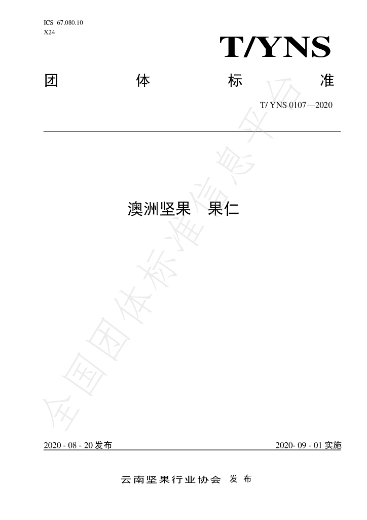 T/YNS 0107-2020 标准预览