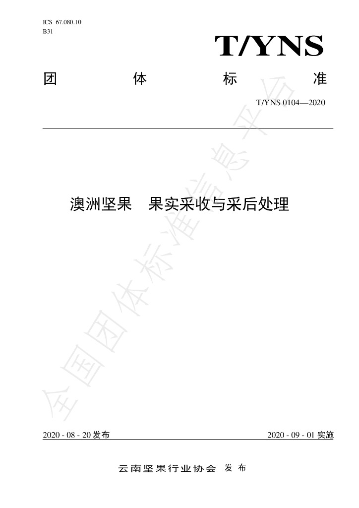 T/YNS 0104-2020 标准预览
