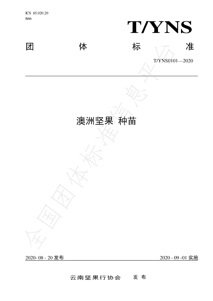 T/YNS 0101-2020 标准预览