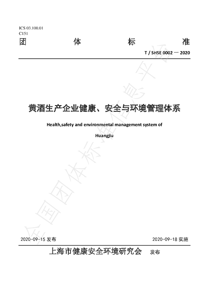 T/SHSE 0002-2020 标准预览