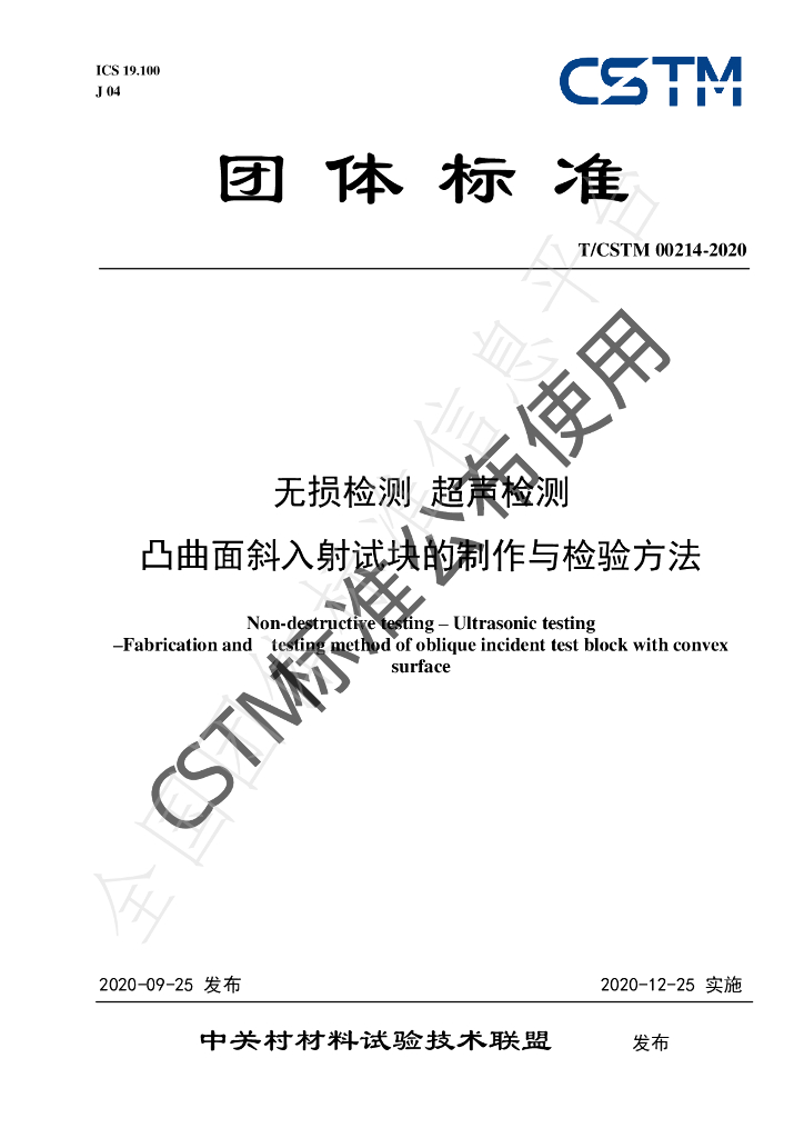 T/CSTM 00214-2020 标准预览