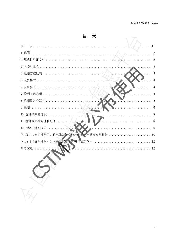 T/CSTM 00213-2020 标准预览