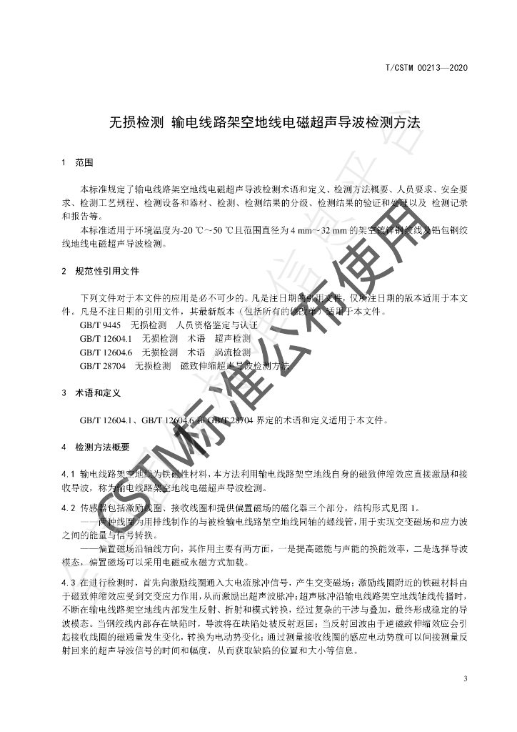 T/CSTM 00213-2020 标准预览