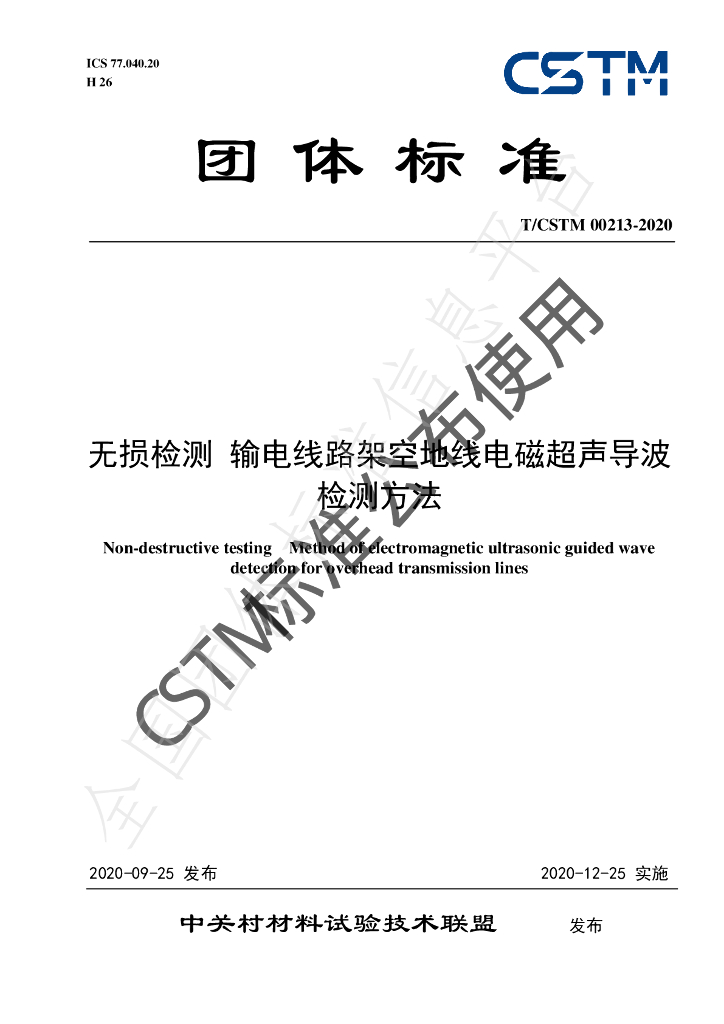 T/CSTM 00213-2020 标准预览
