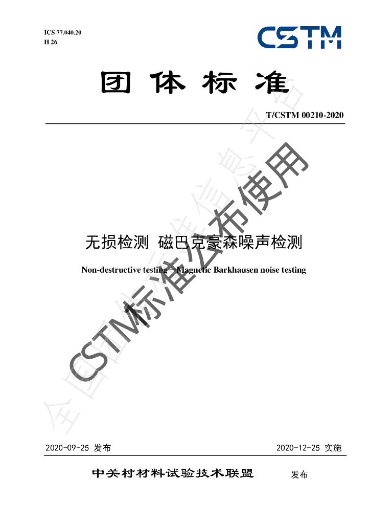 T/CSTM 00210-2020 标准预览