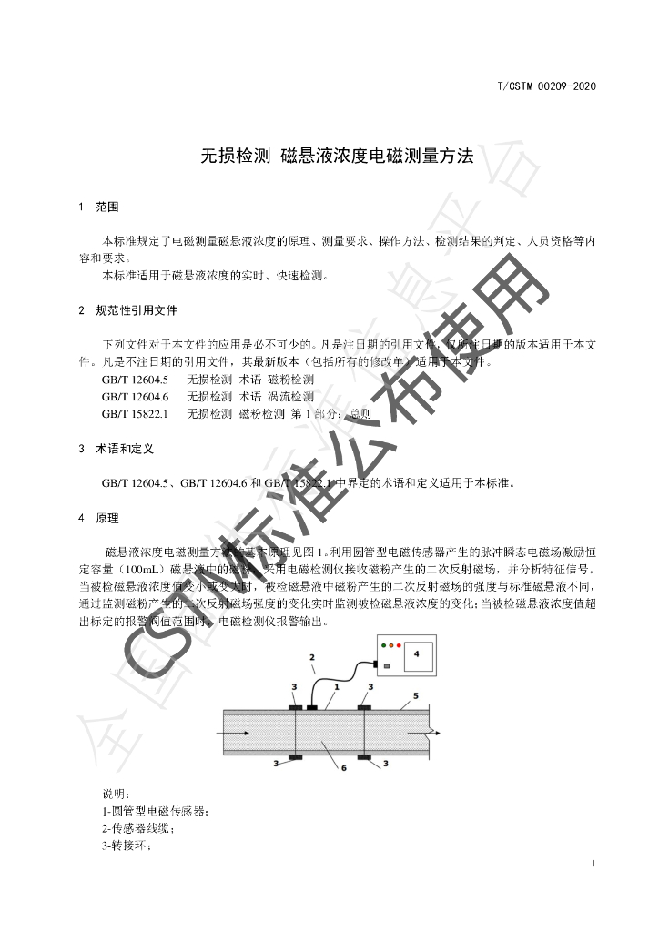 T/CSTM 00209-2020 标准预览