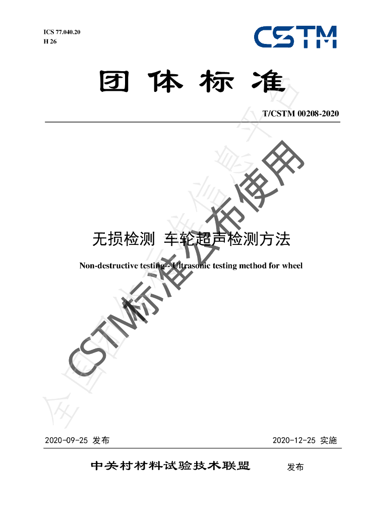 T/CSTM 00208-2020 标准预览