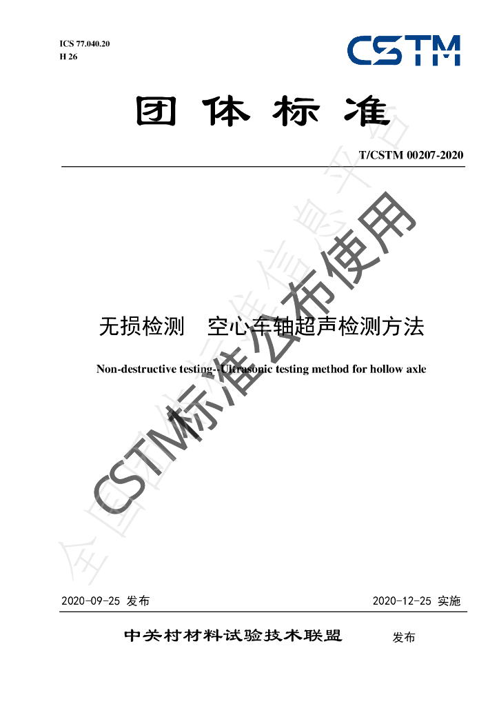 T/CSTM 00207-2020 标准预览