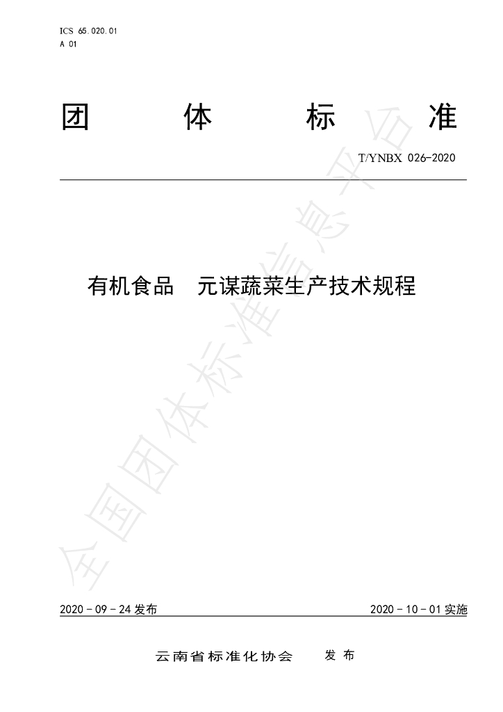 T/YNBX 026-2020 标准预览