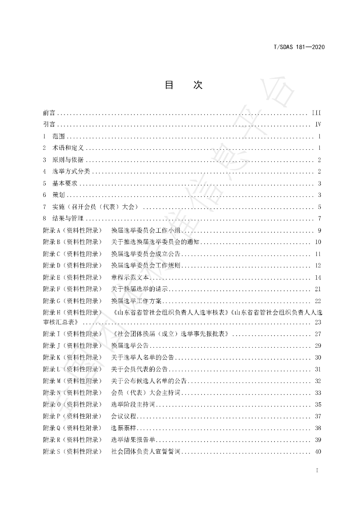 T/SDAS 181-2020 标准预览