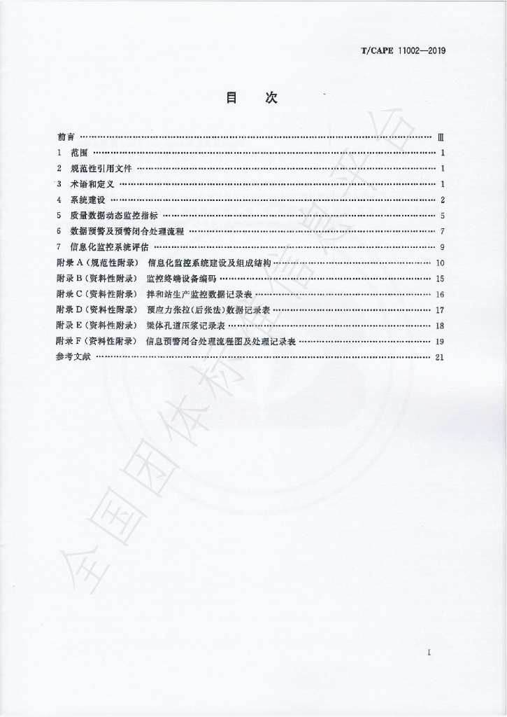 T/CAPE 11002-2019 标准预览