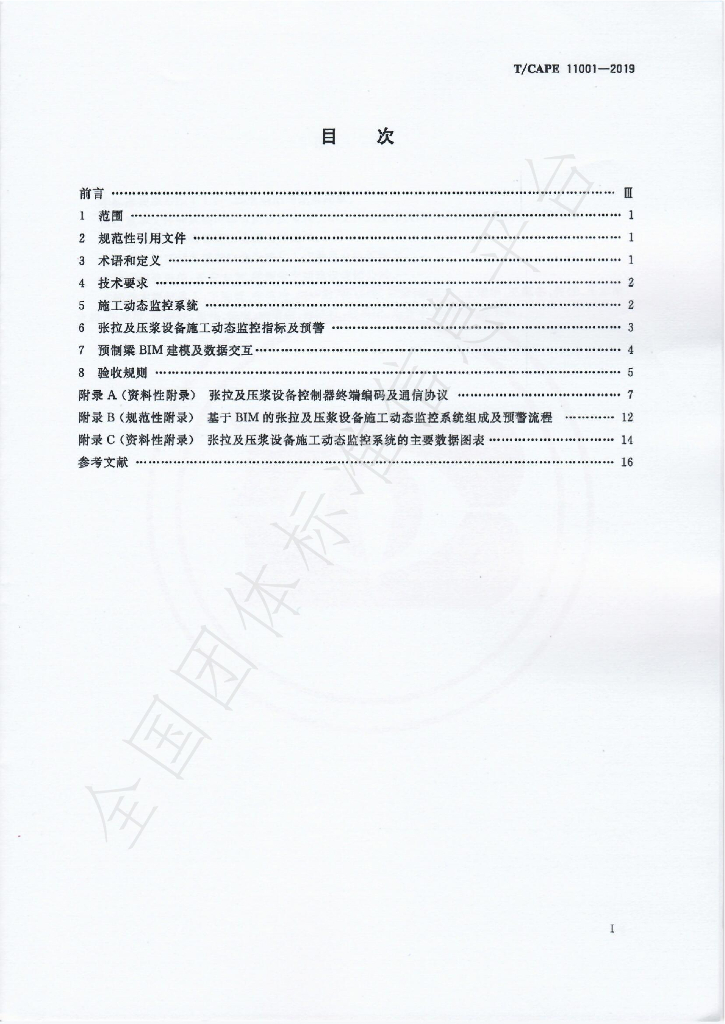 T/CAPE 11001-2019 标准预览