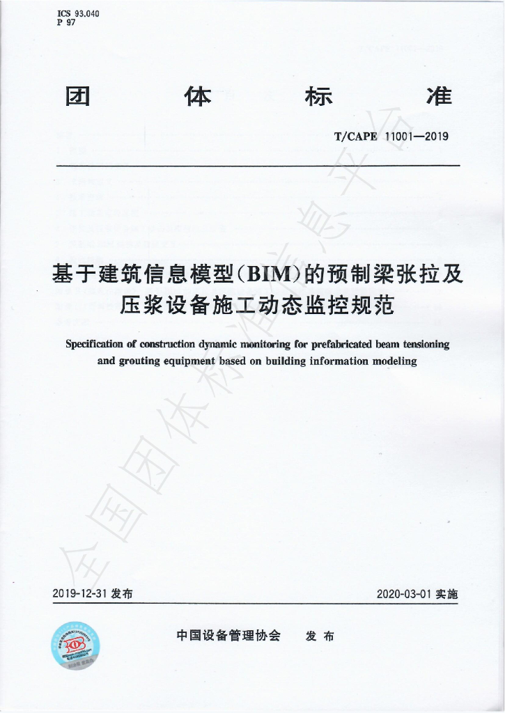 T/CAPE 11001-2019 标准预览