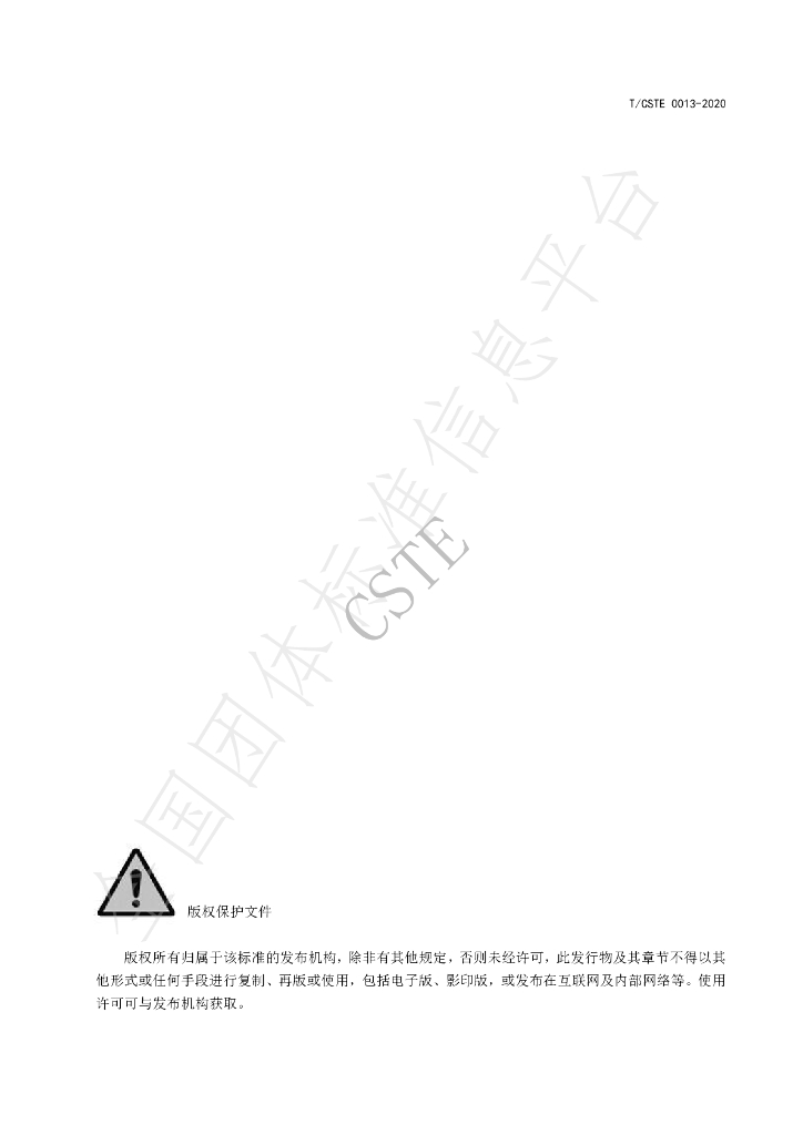 T/CSTE 0013-2020 标准预览