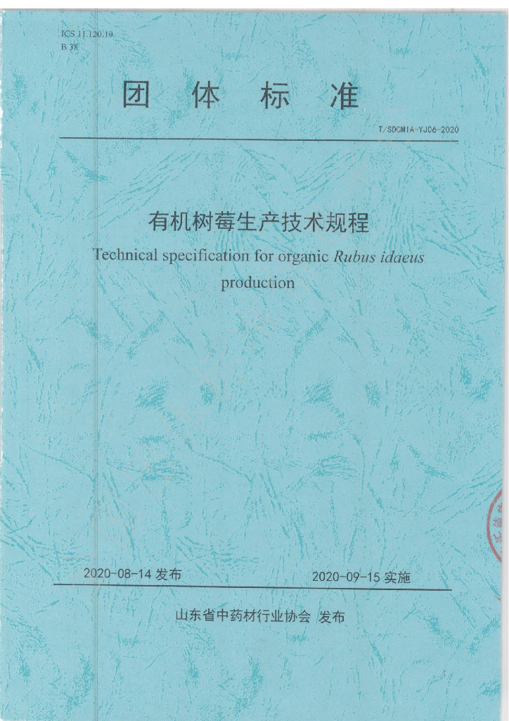 T/SDCMIA YJ06-2020 标准预览