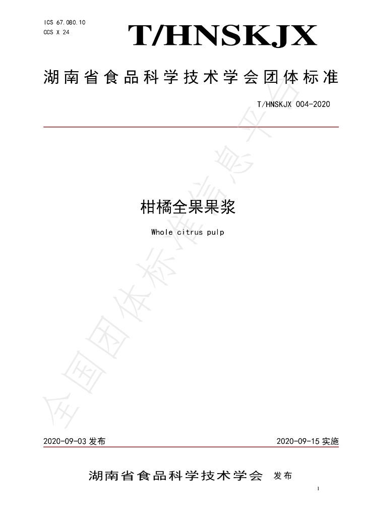 T/HNSKJX 004-2020 标准预览