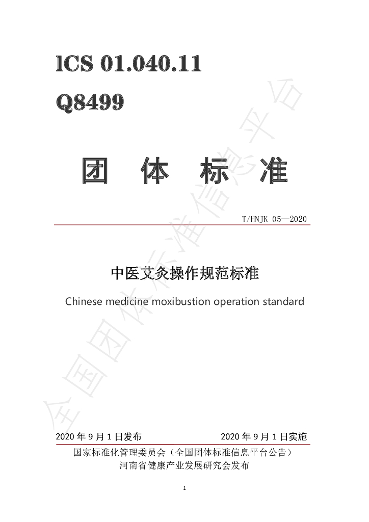 T/HNJK 05-2020 标准预览
