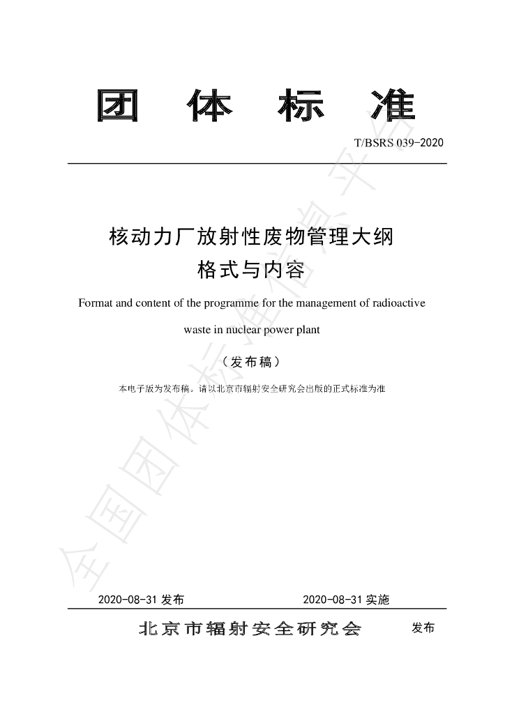 T/BSRS 039-2020 标准预览