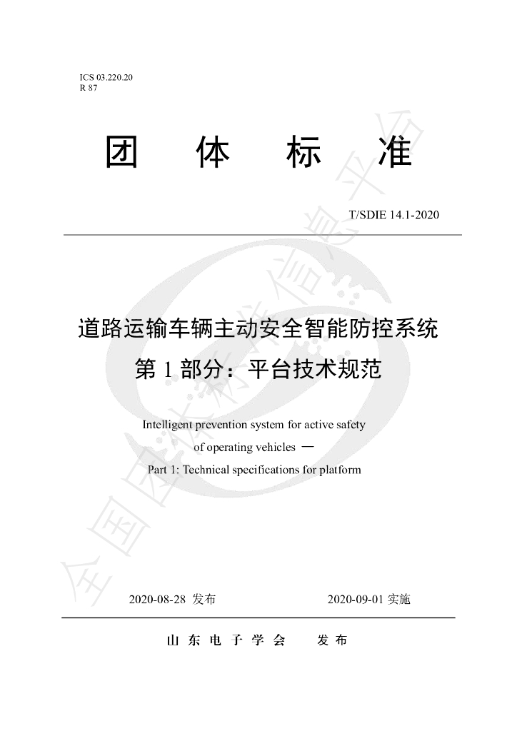 T/SDIE 14.1-2020 标准预览