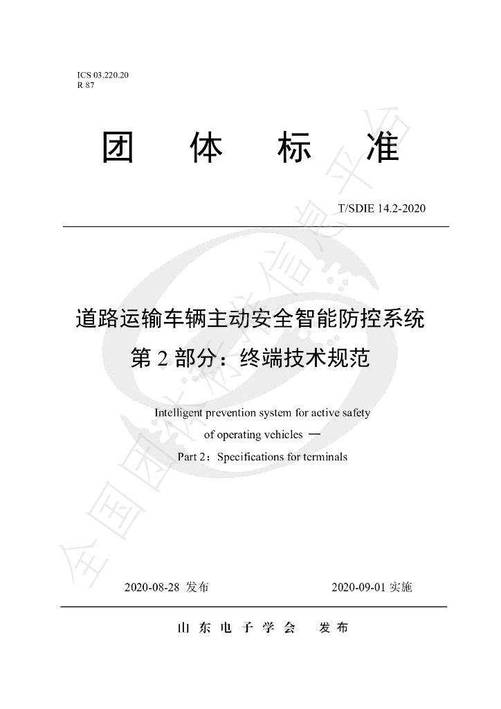 T/SDIE 14.2-2020 标准预览