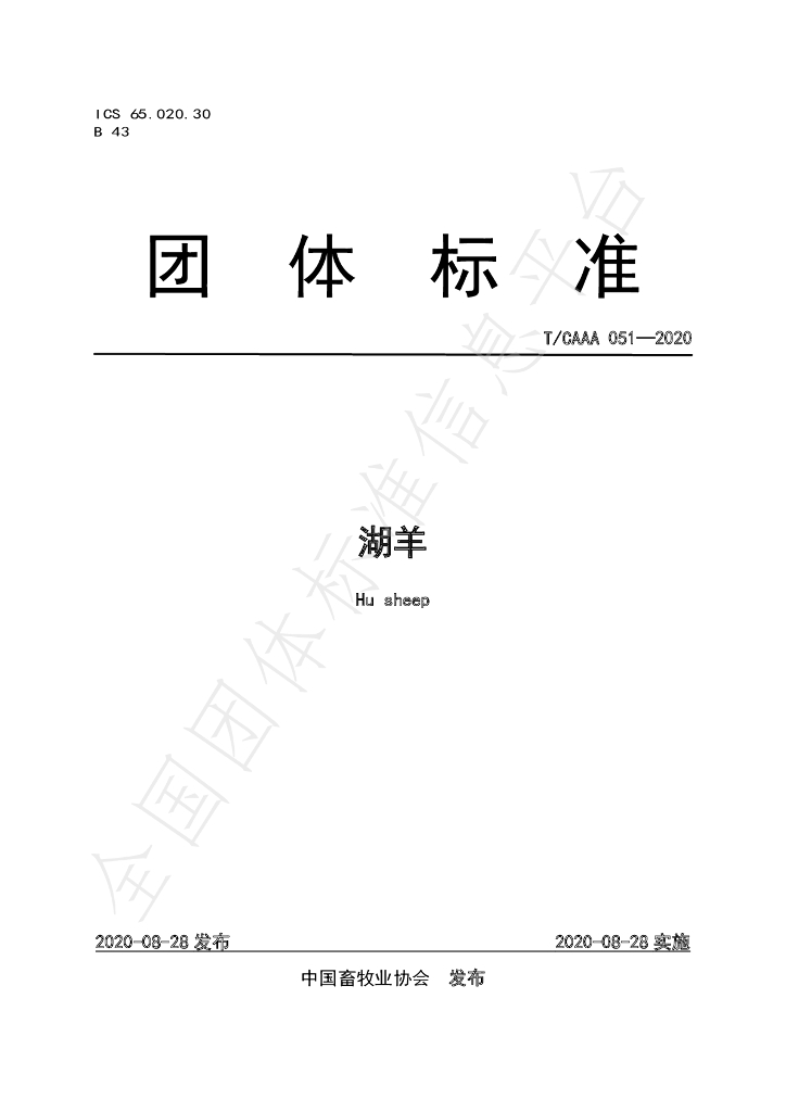 T/CAAA 051-2020 标准预览